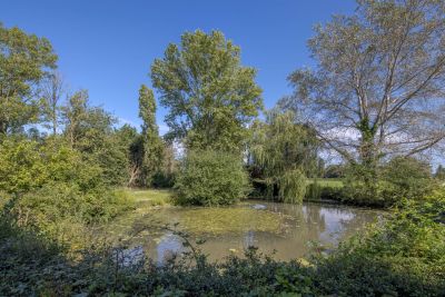 house 7 Rooms for sale on ST ANTONIN DE SOMMAIRE (27250) Sale House Saint-Antonin-de-Sommaire 7 Rooms 260 m²