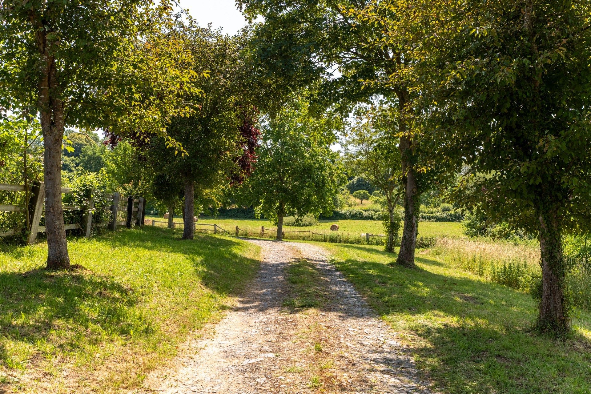 maison 8 Pièces en vente sur BEAUMONT EN AUGE (14950)