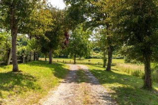 maison 8 Pièces en vente sur BEAUMONT EN AUGE (14950)