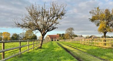 maison 9 Pièces en vente sur TROUVILLE SUR MER (14360)