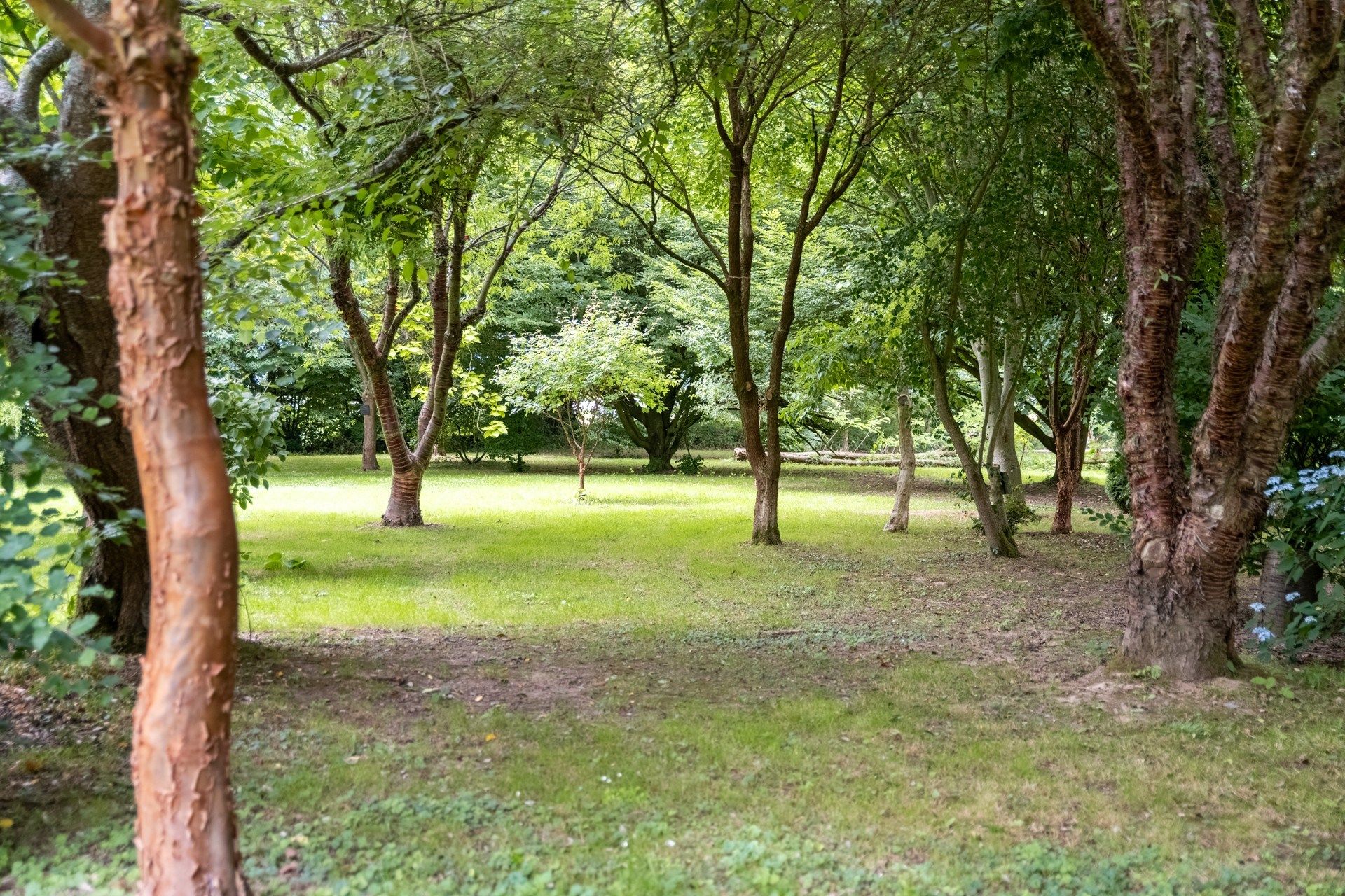 maison 7 Pièces en vente sur GONNEVILLE SUR SCIE (76590)