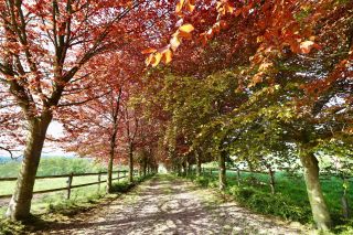 manor house 15 Rooms for sale on ECAQUELON (27290)