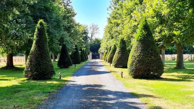 maison de maître 16 Pièces en vente sur DEAUVILLE (14800)