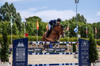 maison de maître 10 Pièces en vente sur ROTS (14740)