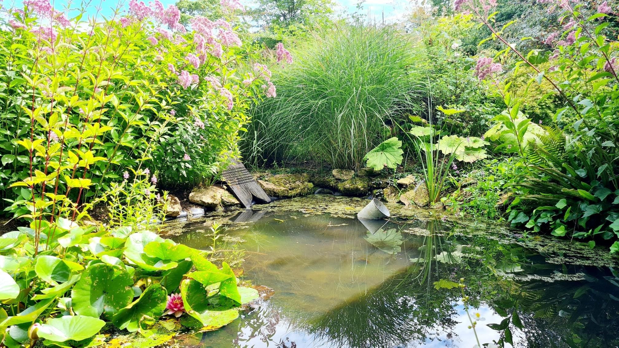 maison 40 Pièces en vente sur PONT L EVEQUE (14130)