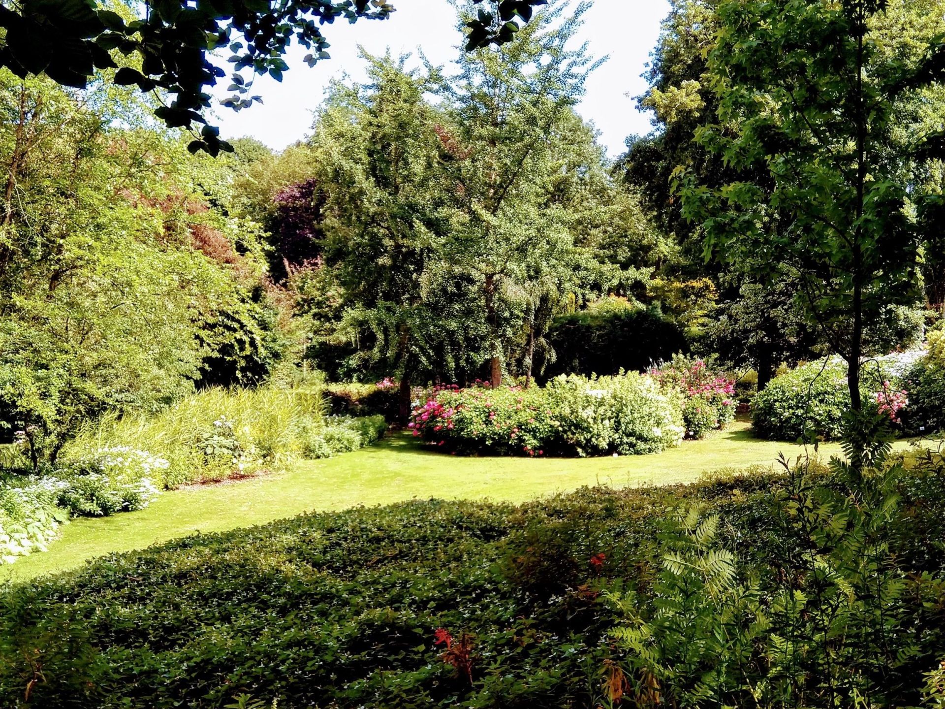 maison 40 Pièces en vente sur PONT L EVEQUE (14130)