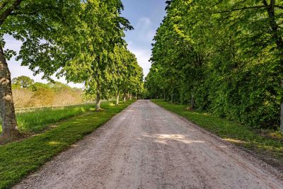 Vente Maison Pont-l'Évêque 40&nbsp;Pièces 1100&nbsp;m²