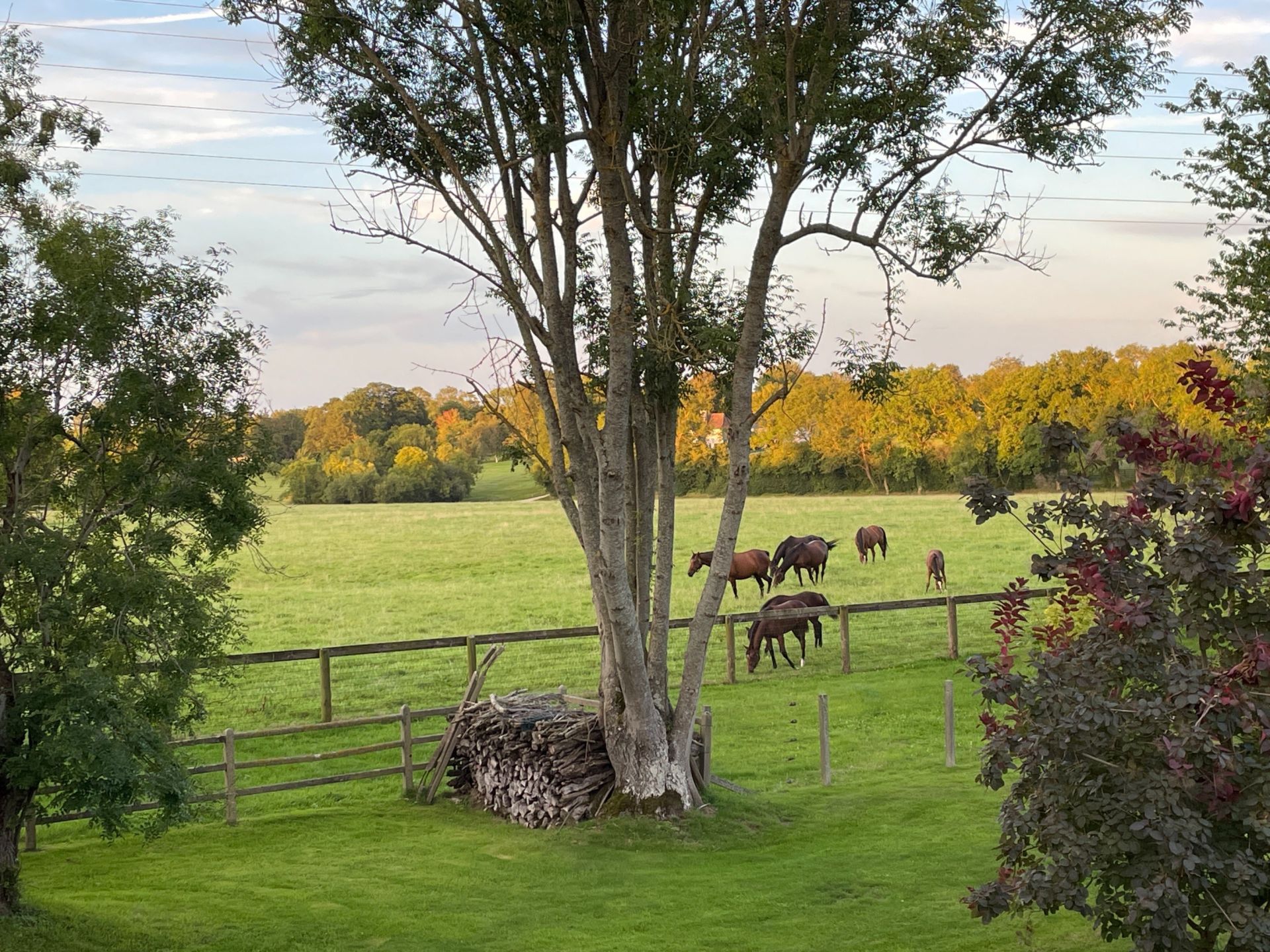 maison 6 Pièces en vente sur PONT L EVEQUE (14130)