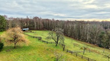 house 5 Rooms for sale on ST GATIEN DES BOIS (14130)