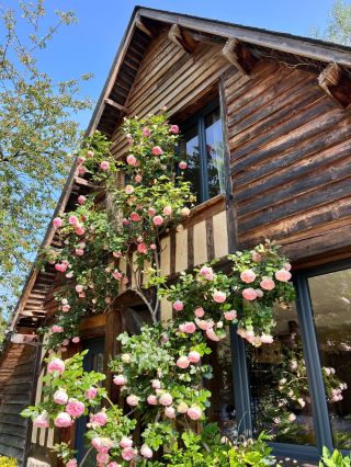 maison 10 Pièces en vente sur CAMBREMER (14340)