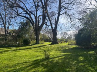 house 19 Rooms for sale on LA CAMBE (14230)