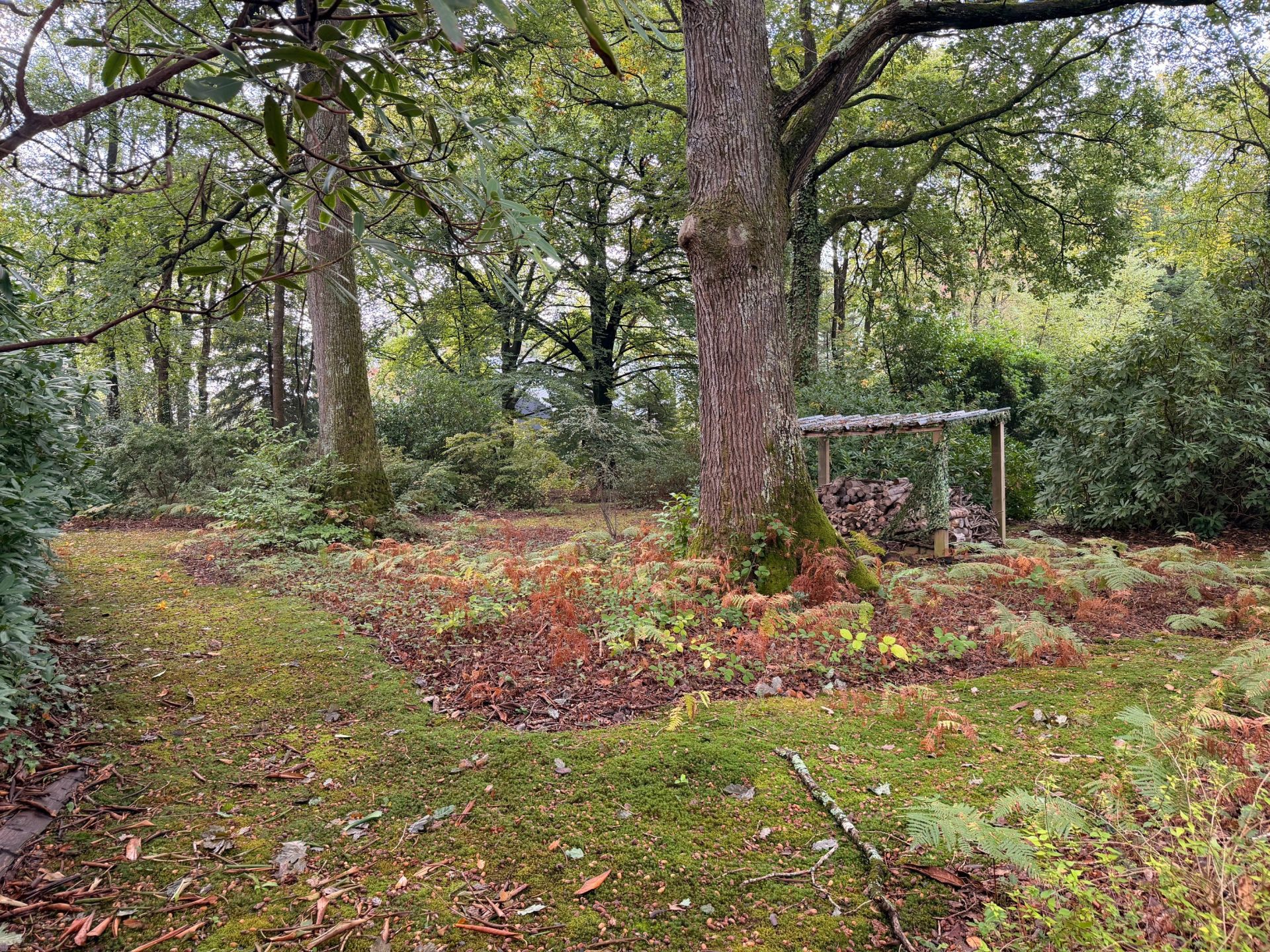 terrain à bâtir en vente sur ST GATIEN DES BOIS (14130)
