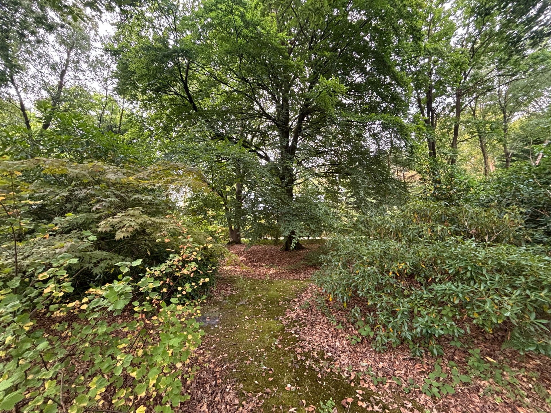 maison 5 Pièces en vente sur ST GATIEN DES BOIS (14130)